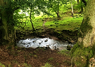 2024-10-15/07db9ee5-0ebb-429b-9411-f830d3bed8d3