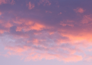 2024-10-17/598c487c-b920-4d4b-bb31-16fe981aba06