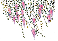 2024-10-17/b4479e27-3102-41b3-ad7a-54957315e18a