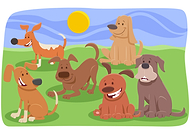 2024-10-22/0e1d361a-87d5-433b-b2c1-35337a1875c5