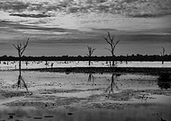 2024-10-22/920a86fd-6815-4fd8-b36c-64787eda8d5d