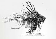 2024-10-24/5dff09ef-367f-4b80-94a2-7df653d7885e