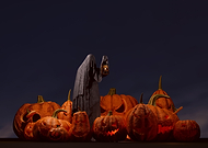 2024-10-24/7b0d3327-c9b5-4d91-beef-bb5fab01df3b