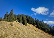 2024-10-25/e6054613-f948-450e-a118-98222c9fb67d