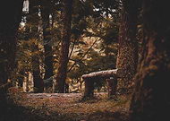 2024-10-27/3261b695-a241-4947-92ee-6416d5298e79