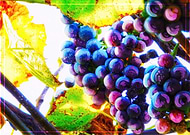 2024-10-28/c2fe5456-3a58-41c0-97a5-6b29eb51a932