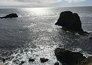 2024-10-29/1e2ea8e0-35fd-4e53-8c85-19239f92d14a