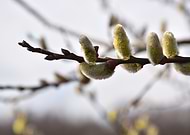 2024-10-29/3475e341-d221-45cd-8125-ac6d14e13d81