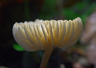 2024-10-29/5c14e3d3-1f9f-4c5f-aea3-77f8831c0ece