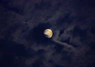 2024-10-31/04b9dbc0-d08d-49b6-980f-f11fd348bece