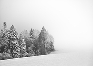 2024-10-31/1235f928-5691-4f52-ab4b-7f9aa3aebff2