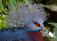 2024-11-01/154657c5-383a-43a1-8f8a-579be67aa04c