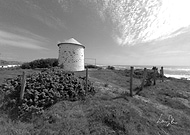 2024-11-01/26258777-6a10-45f1-a7e4-759961fc2e84