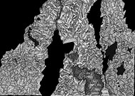 2024-11-02/242611ee-cca9-49d3-b148-7e7485b699a0