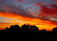 2024-11-03/12c6dc4f-3f67-442f-9020-4ad995e912c9