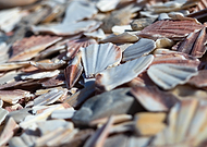 2024-11-03/5f5a3397-0aad-48b1-b952-97fc2a5eba7c