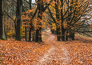 2024-11-03/e5c695ff-1056-46c8-80be-b1e5fab6590f