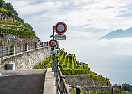 2024-11-08/3b68e67f-66d2-4dd7-82bf-0b6f6ef8bab2