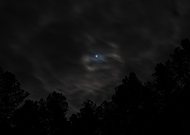 2024-11-09/8f17515b-0e43-47c1-9b04-84508ab62911