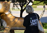 2024-11-12/4311887f-4adc-485f-8215-dc5e3fecefb4