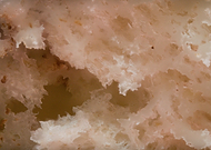 2024-11-13/0059b82f-5a42-4b44-8e27-738bd7c8714b