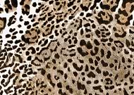 2024-11-13/90def0a7-4fe3-41e0-aeb5-9baedd77a8e3