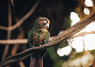 2024-11-14/1873b2a1-2c5f-43e2-8287-c460a46a318c