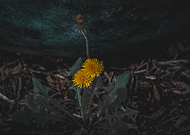 2024-11-14/39c5ccdd-332c-41c6-b8fc-67d2ccc064b1