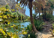 2024-11-14/70903111-141a-4aef-a973-d8669511f63e