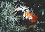 2024-11-14/bd04cb3c-154d-4478-9a4c-23bb5a2d17ba