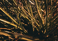 2024-11-14/df59c512-d224-4362-9f0b-c09c460f8906