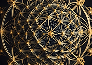 2024-11-16/98114c8b-406b-42f2-b37d-a0161e1b2367