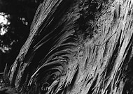 2024-11-18/67674212-a605-4ea1-ad19-a03a3ab0d956