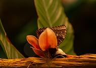 2024-11-18/8fca6250-f8da-48cb-a8d8-9a00b25e30c8