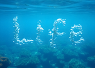 2024-11-19/93d6c743-dc50-4f17-93ef-c3435d0e8fae