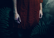 2024-11-19/bf092402-d0e7-4423-89d0-9a9fe5eef4a3