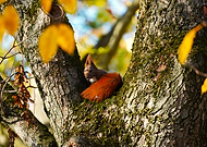 2024-11-22/4d0b3fba-6a5f-4b63-bce6-65fd0f185031