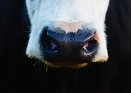 2024-11-23/7a21a742-d2ec-4690-ac2c-af91fb59a578