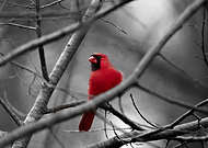 2024-11-24/4dea127e-bf2a-4e6b-84b8-6bb4eb538bc2