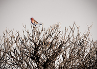 2024-11-24/fd4a63bf-5e12-4fb4-a071-72ed848a017e