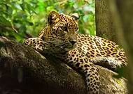 2024-11-25/0bea9500-6144-4f65-88f4-2c3500904ef5