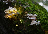 2024-11-25/1abf68a3-f13c-4868-9738-66cc1ab2441e