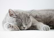 2024-11-25/e1598c5a-2340-462e-b6f8-518ecfbc4117