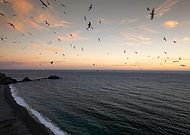 2024-11-26/020bcc56-c9f7-4dad-a922-a8df3776d42e