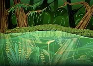 2024-11-26/b836c999-087c-4736-85c6-398e87e192f0