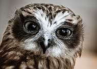 2024-11-27/85e3eea2-f7dd-4a45-8af5-675cc7224b2c