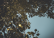 2024-11-27/ee64f0f5-cce5-40e1-bbd2-6cff33a88c85