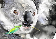 2024-11-28/5123d081-637b-46f4-81d9-e16311aadf30