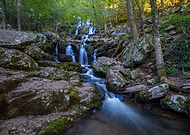 2024-11-30/5bb52a5f-7a2f-4810-9f39-e85070ae0cf5