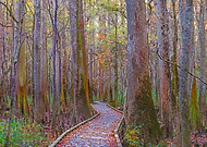 2024-11-30/7c843d49-7176-4b08-827e-75b28f25cf43